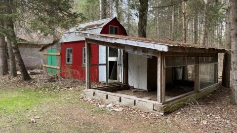 Gloomy day exploring - 4AA77F6E-4F2A-49C6-BBFE-E7B3152BD9527WV.jpg