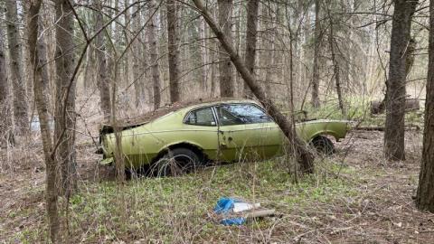 Gloomy day exploring - 1465C9F9-DFFE-41A5-BFC5-1B11AB7632FBxrw.jpg