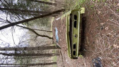 Gloomy day exploring - 21AA6C1C-4815-4E6F-8DCE-828DE8789ED5Nca.jpg