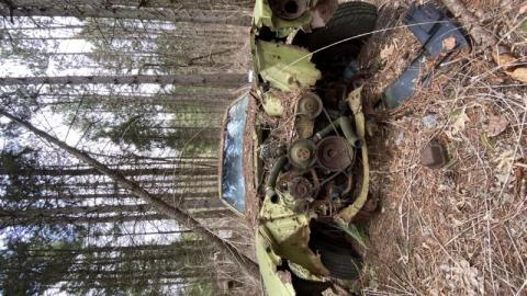 Gloomy day exploring - D9E3A3F9-9C5E-4723-BB62-EABA4B5A85AB4N8.jpg