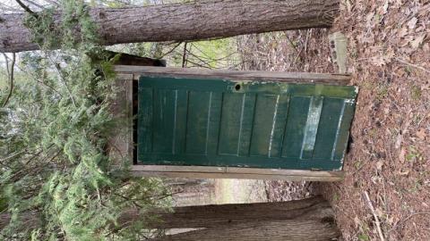 Gloomy day exploring - BF861ADD-CD0D-4B52-9988-7817B2537645FrI.jpg