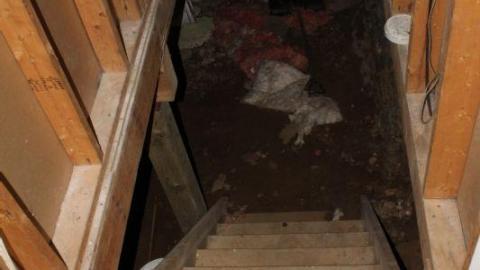 Greasier Than 70s Glasses - IMG_5451mzM.jpg