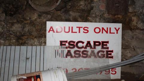 Greasier Than 70s Glasses - IMG_5452wNx.jpg