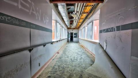 Pre demo n vandals  - FB_IMG_1601082469270Zoo.jpg