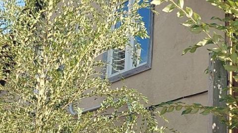 Showers in abundance  - 20200923_170500aIo.jpg