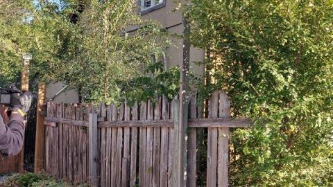 Rubba Dubba Tug Tug photo 2