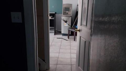 Rubba Dubba Tug Tug photo 3