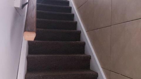 Showers in abundance  - 20200923_161633npI.jpg