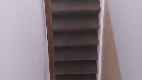 Showers in abundance  - 20200923_162714eMv.jpg