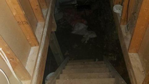 Showers in abundance  - 20200923_164643vuP.jpg