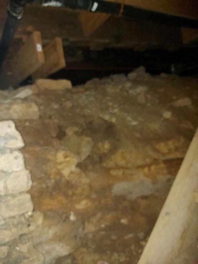 Rubba Dubba Tug Tug photo 5