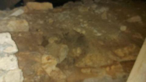 Rubba Dubba Tug Tug photo 5