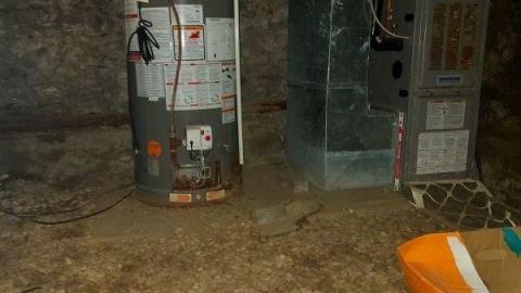 Showers in abundance  - 20200923_165057yRz.jpg