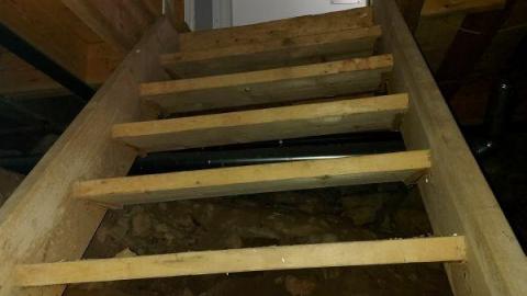 Showers in abundance  - 20200923_165146FCI.jpg