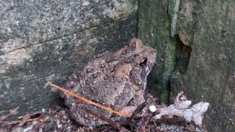 Cleanup galore - 20200907_191212TiD.jpg