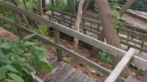 Cleanup galore - 20200910_174127cvx.jpg