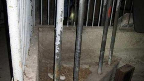 The Barns - Barn - 05.jpg