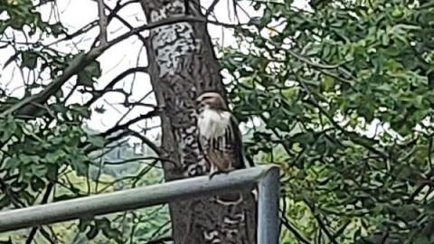 Cleanup galore
 - 20200909_180551CGd.jpg