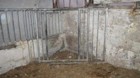 Beautiful Farmhouse- Hwy 400 photo 2