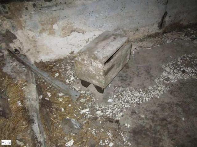 Beautiful Farmhouse- Hwy 400 photo 4