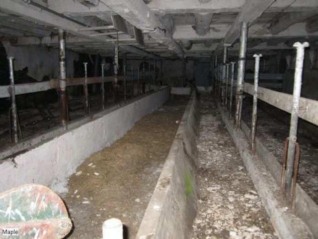 Beautiful Farmhouse- Hwy 400 photo 5