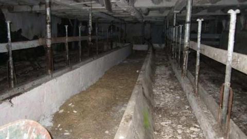 Beautiful Farmhouse- Hwy 400 photo 5