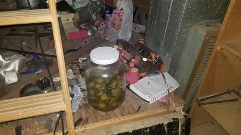 September 30th, 2020 - DSC_0161.jpg