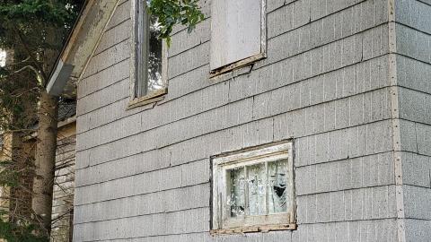 Neighbours - 20200924_112326.jpg