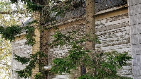 Neighbours - 20200924_112333.jpg