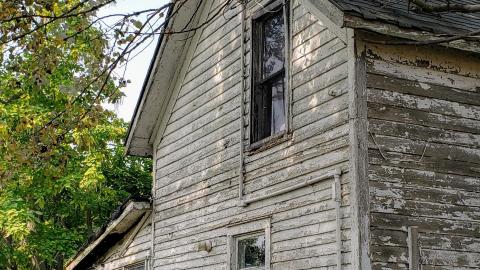 Neighbours - 20200924_112356.jpg