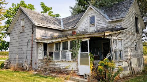 Neighbours - 20200924_112504.jpg