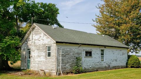 Neighbours - 20200924_112436.jpg