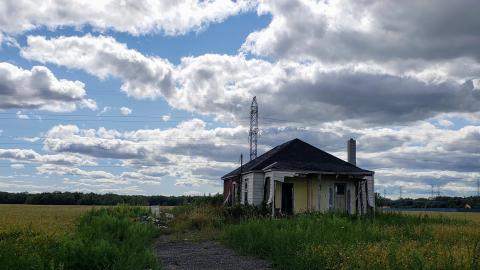 Gutted - 20200918_132426.jpg