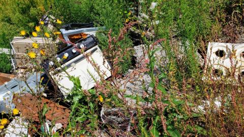 Gutted - 20200918_132715.jpg