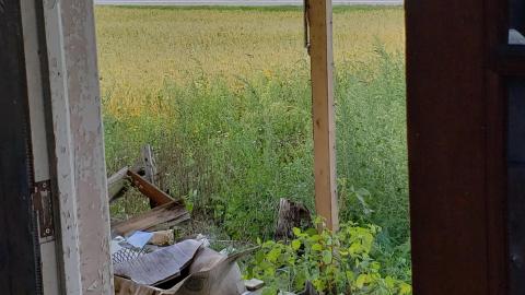 Gutted - 20200918_132554.jpg