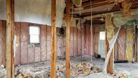 Gutted - 20200918_132523.jpg