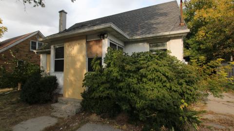 Thats...A...Chimp...? - IMG_5768.JPG