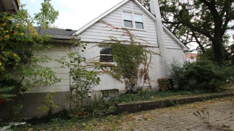 Thats...A...Chimp...? - IMG_5721.JPG