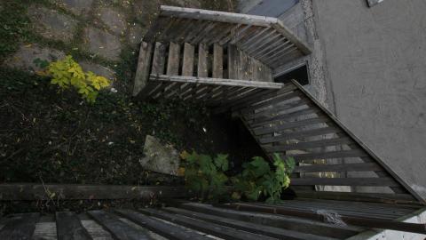 Thats...A...Chimp...? - IMG_5725.JPG