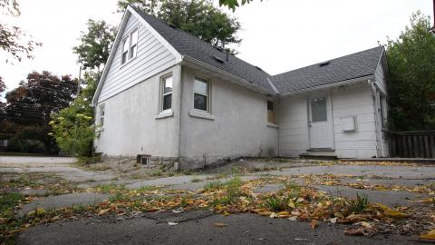 Thats...A...Chimp...? - IMG_5761.JPG