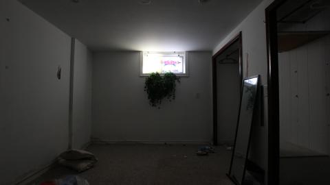 BATHING APE - Waterloo, Ontario