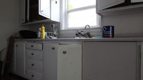 Thats...A...Chimp...? - IMG_5728.JPG