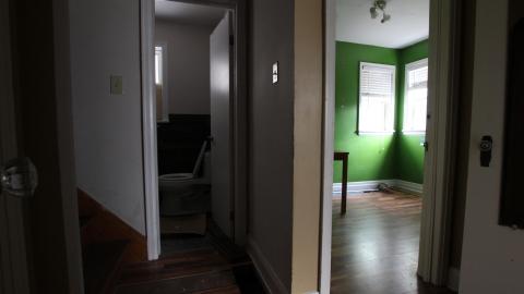 Thats...A...Chimp...? - IMG_5733.JPG