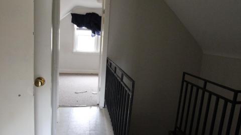 Thats...A...Chimp...? - IMG_5743.JPG