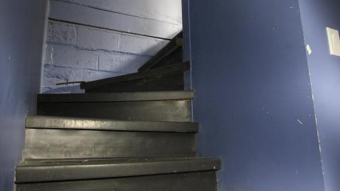 Thats...A...Chimp...? - IMG_5756.JPG