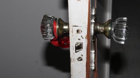 Thats...A...Chimp...? - IMG_5656.JPG