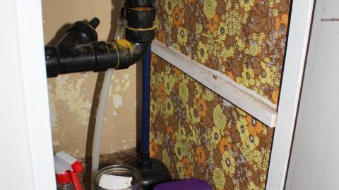 Thats...A...Chimp...? - IMG_5659.JPG