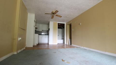 No Tests? Why..So..Serious..? - IMG_2032.JPG