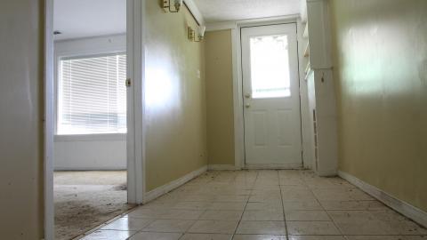 No Tests? Why..So..Serious..? - IMG_2034.JPG