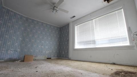 No Tests? Why..So..Serious..? - IMG_2035.JPG